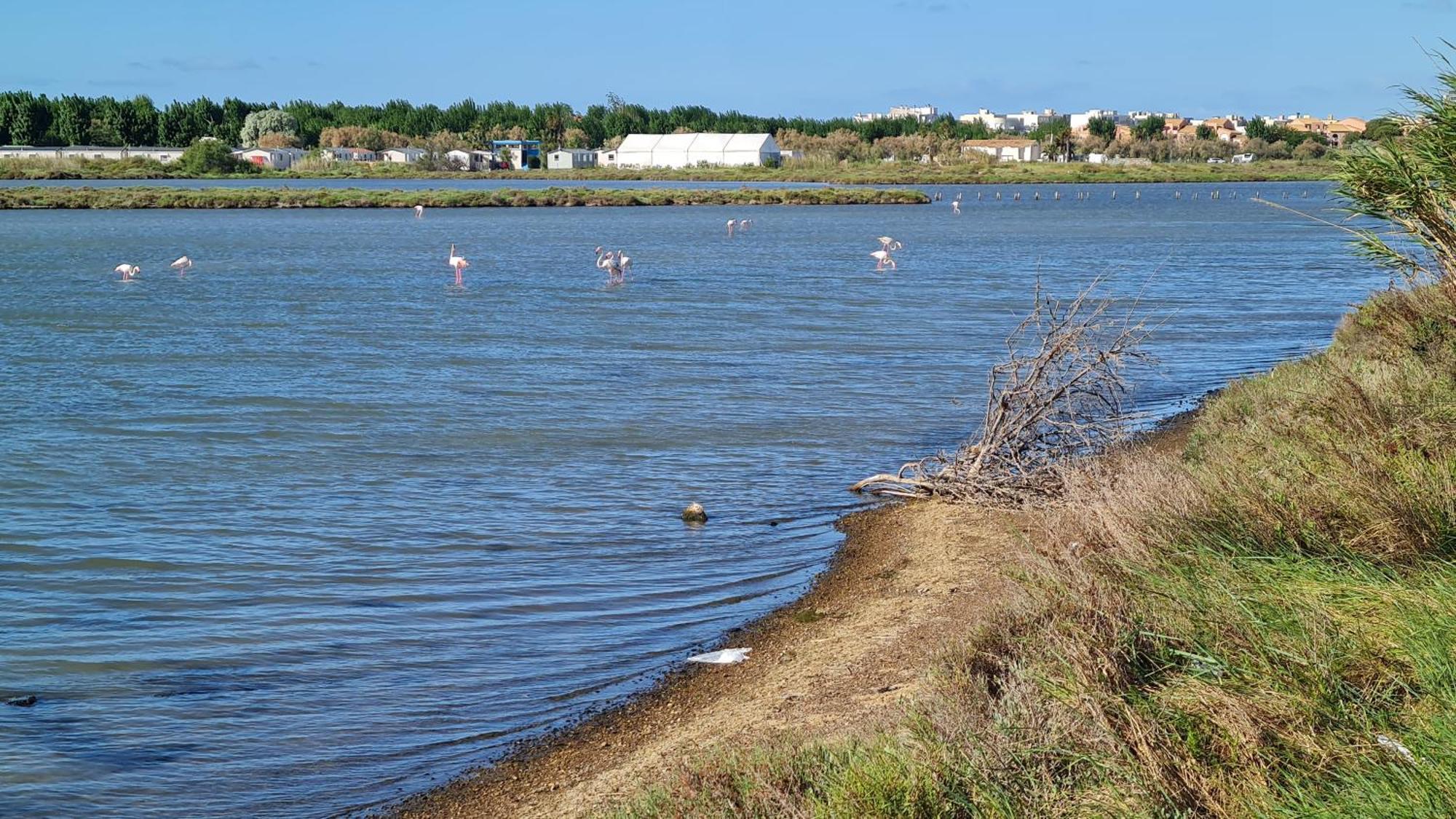 Mobilhome Au Camping Les Salins De La Gardiole Ex Camping Europe Vic-la-Gardiole Exteriér fotografie